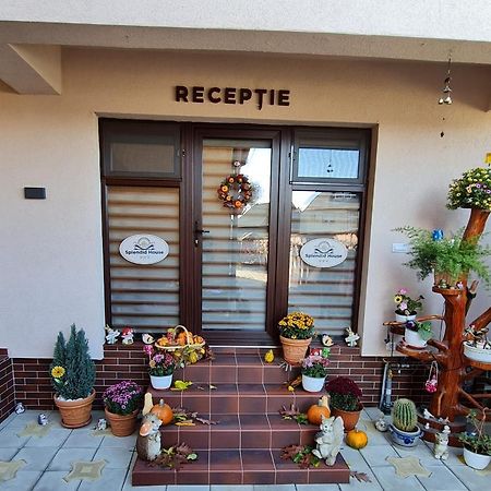 Splendid House Hotel Fagaras Exterior photo