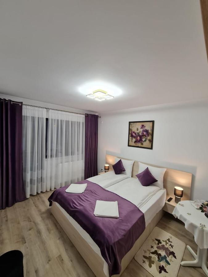Splendid House Hotel Fagaras Exterior photo