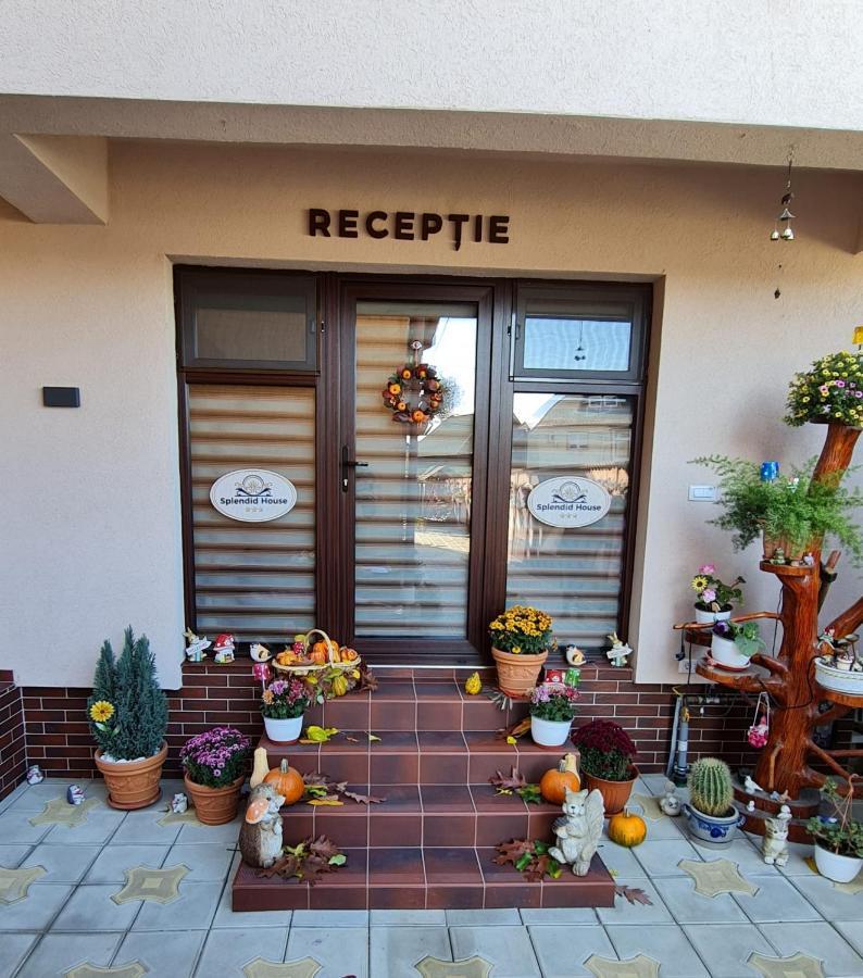 Splendid House Hotel Fagaras Exterior photo